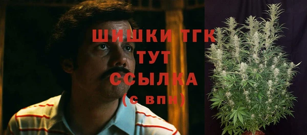 молекула духа Пестово