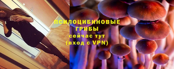 тгк Переславль-Залесский