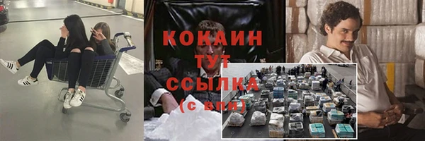 тгк Переславль-Залесский