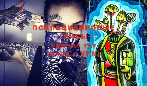 тгк Переславль-Залесский