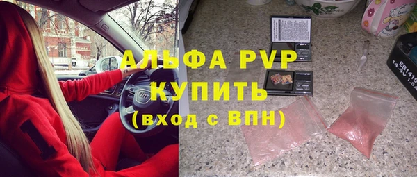молекула духа Пестово