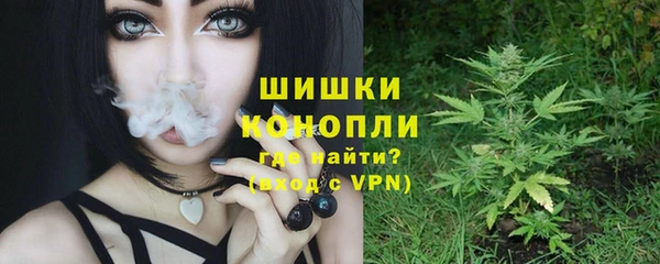 молекула духа Пестово