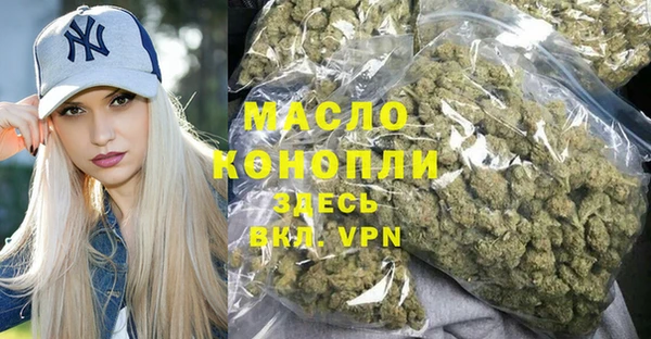 молекула духа Пестово