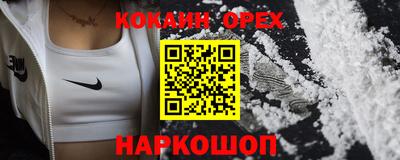 гидропоника Гатчина