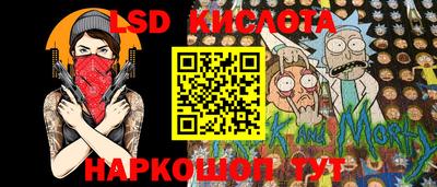 гидропоника Гатчина