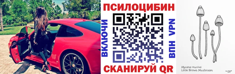 Галлюциногенные грибы GOLDEN TEACHER  сайты даркнета официальный сайт  Губкинский 