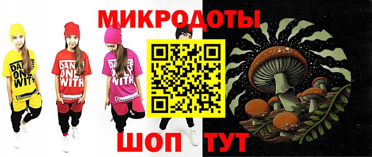 Галлюциногенные грибы Magic Shrooms  Губкинский  Галлюциногенные грибы Psilocybine cubensis 